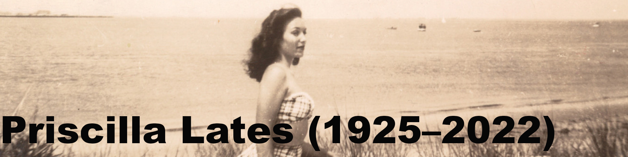 banner for Priscilla Lates webpage