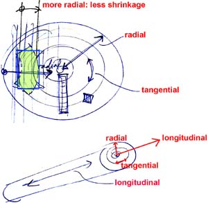 warping of wood due to differential shrinkage