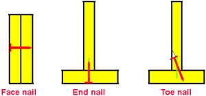 face, end, and toe nail