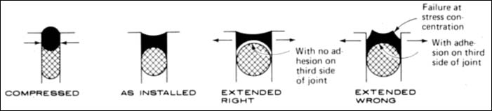 sealant joints