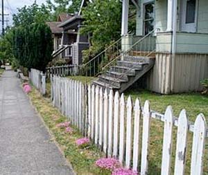 fence defining territory