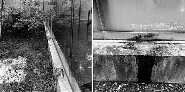 Discoloration of concrete sill at gallery, in sunken garden.