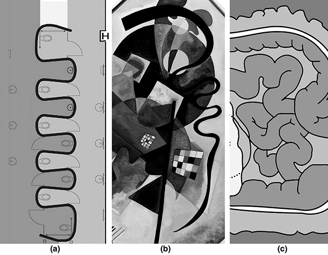 Wiggly lines appear in the bathroom plan, a painting by Kandinsky, and the small intestine.