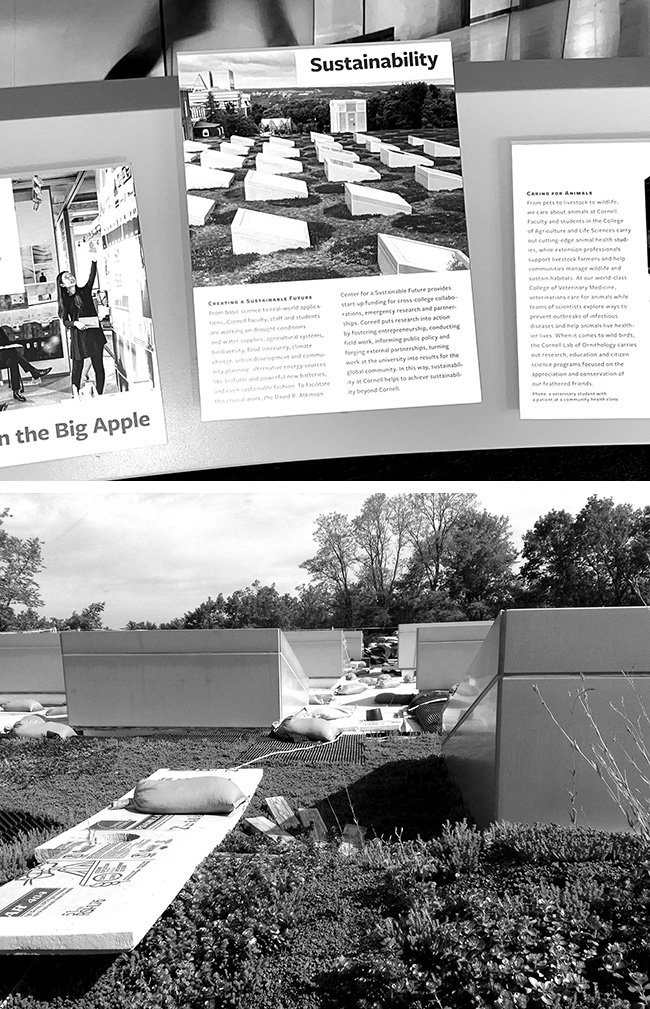 Presentation board with image of Milstein Hall's green roof; and the green roof under re-construction.