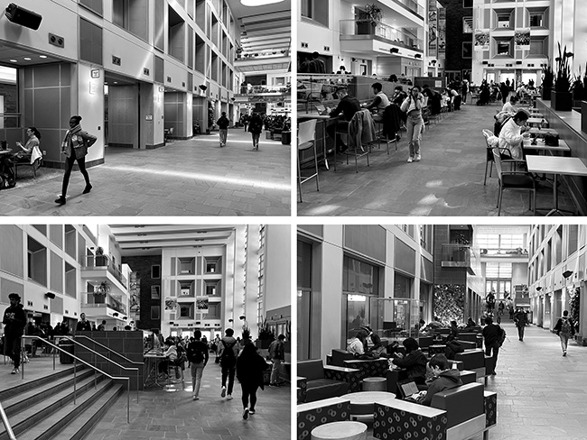 Views of Duffield Hall atrium/arcade.