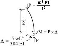 column free-body diagram