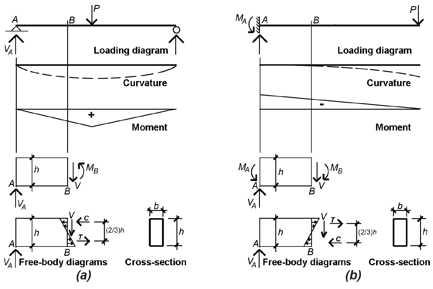 load and free-body diagrams