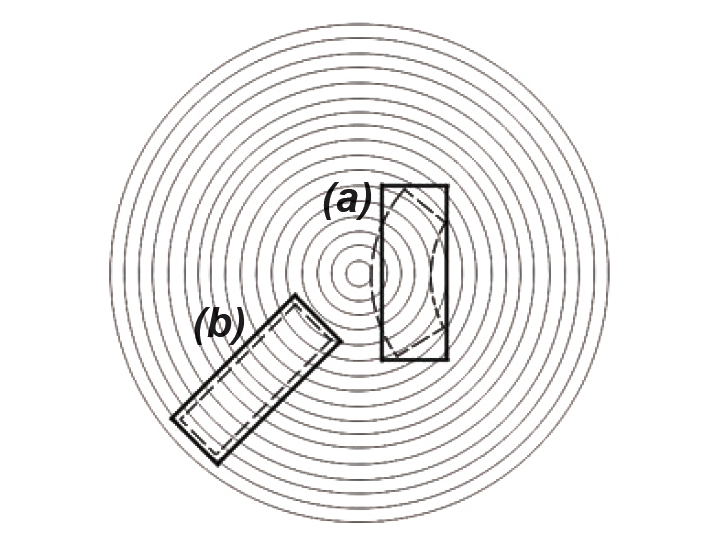 warping in lumber depending on position within tree