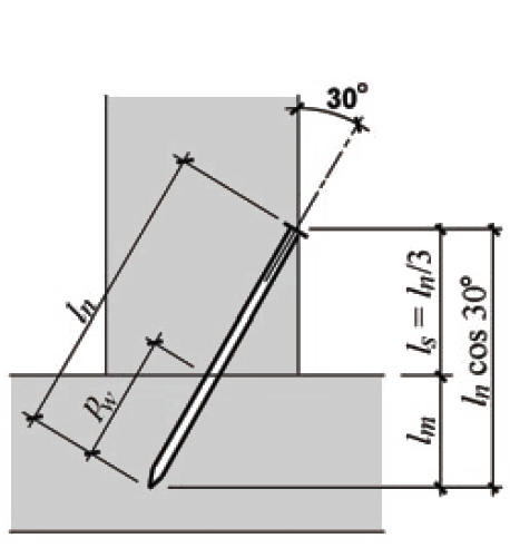 toe nail diagram